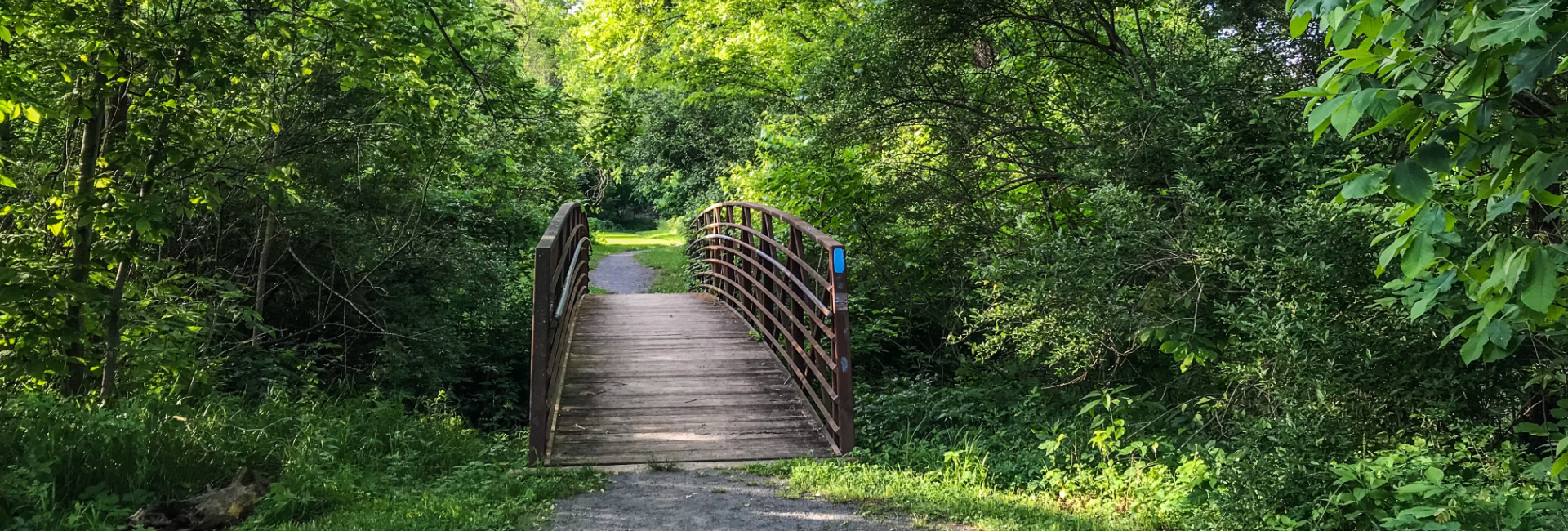 Anytown USA Hiking Trail 1920X650